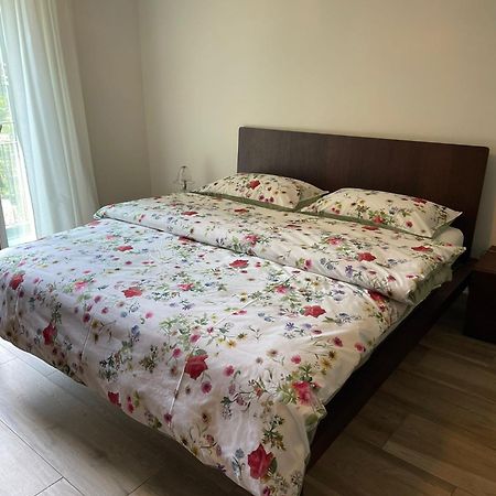 Appartamenti Ramarro Ronco sopra Ascona Bagian luar foto